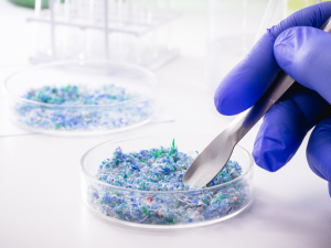 Microplastox