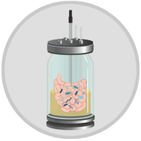 Infogut