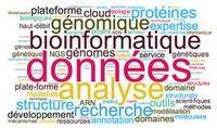 bioinfo