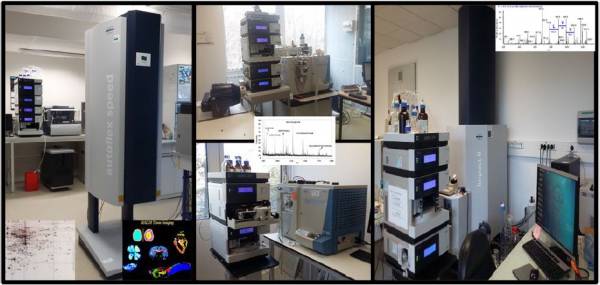 PFEM image