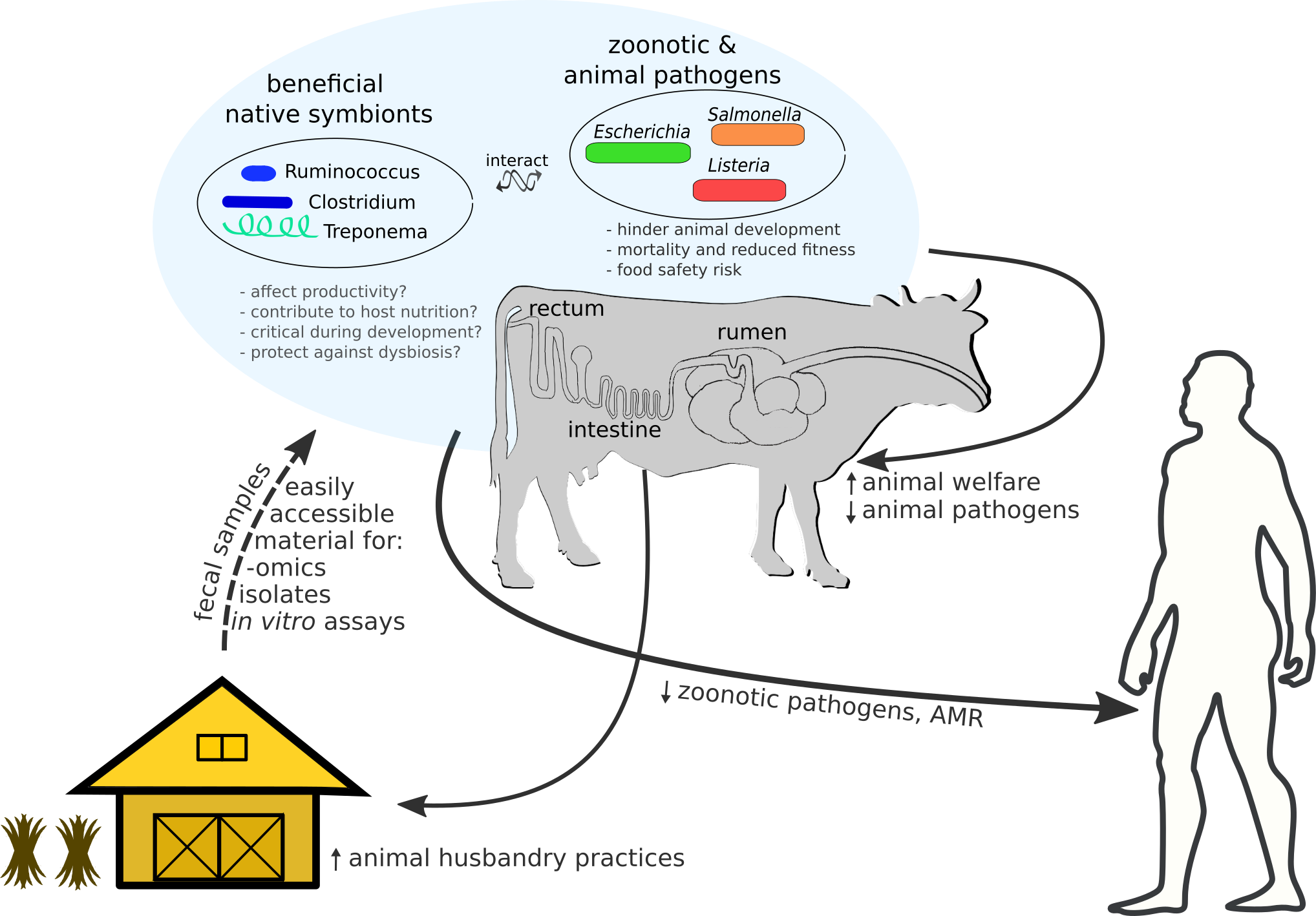 schema panos